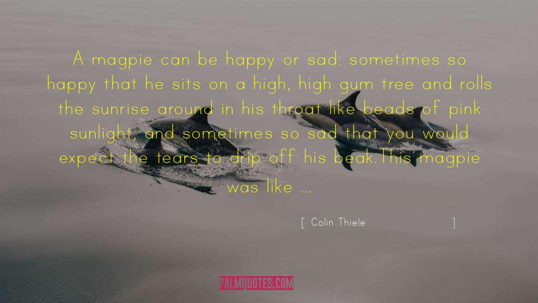 Magpie quotes by Colin Thiele