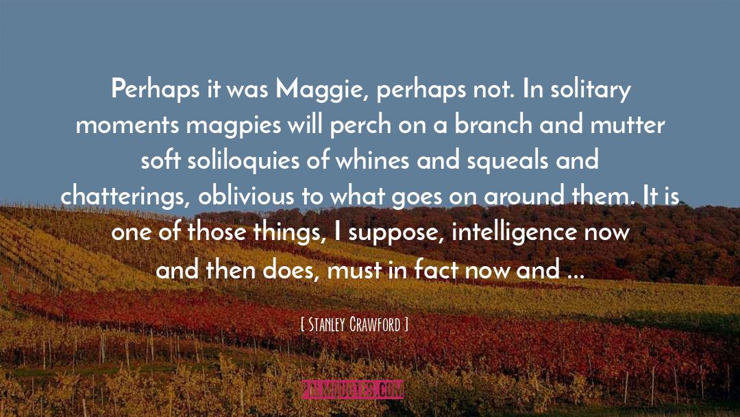 Magpies quotes by Stanley Crawford