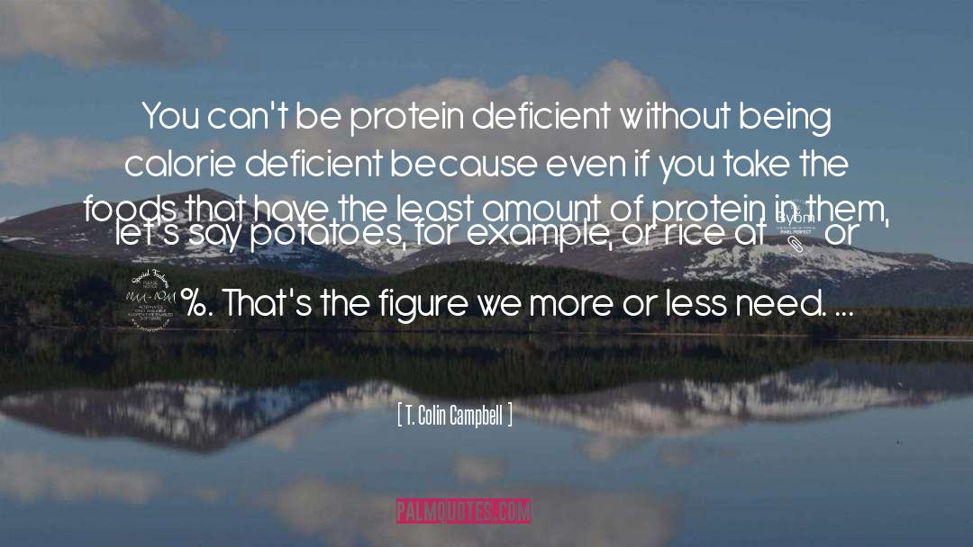 Maguk Protein quotes by T. Colin Campbell
