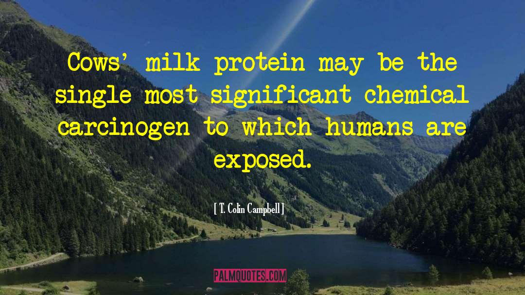Maguk Protein quotes by T. Colin Campbell