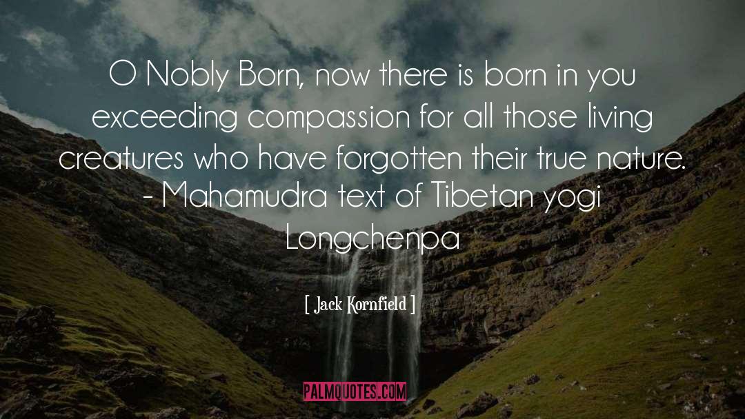 Mahamudra quotes by Jack Kornfield