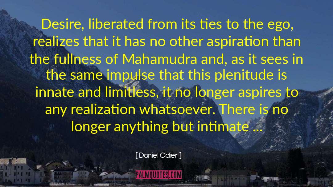 Mahamudra quotes by Daniel Odier