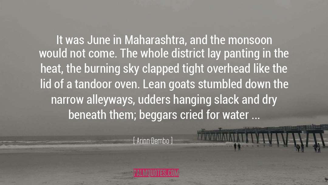Maharashtra quotes by Arinn Dembo