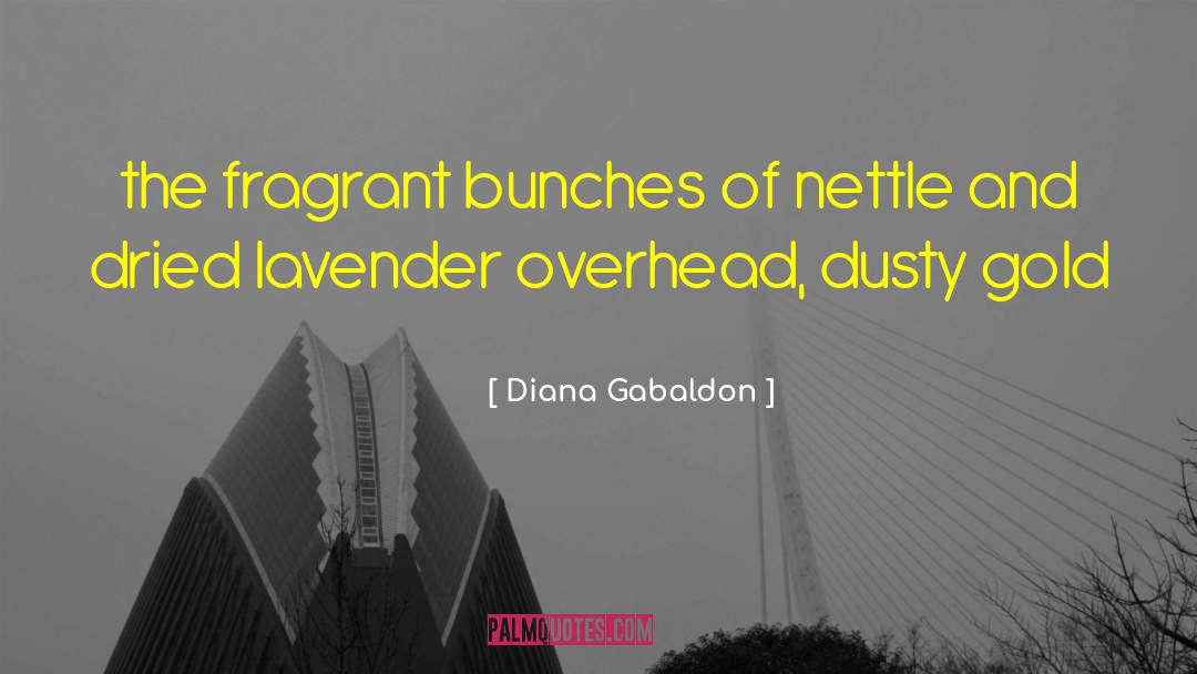 Maillette Lavender quotes by Diana Gabaldon