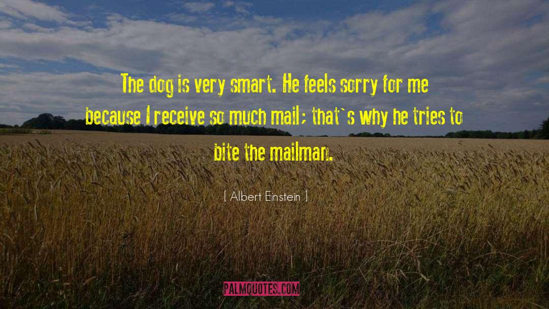 Mailman quotes by Albert Einstein