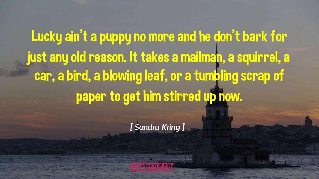 Mailman quotes by Sandra Kring