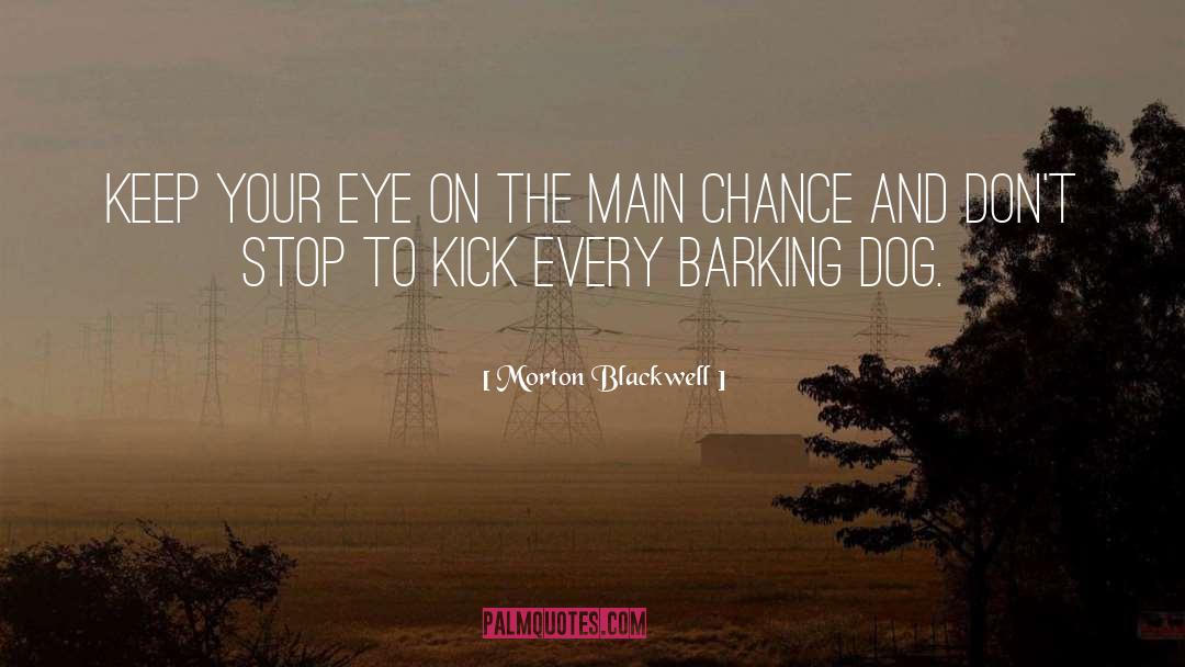 Main Chance quotes by Morton Blackwell