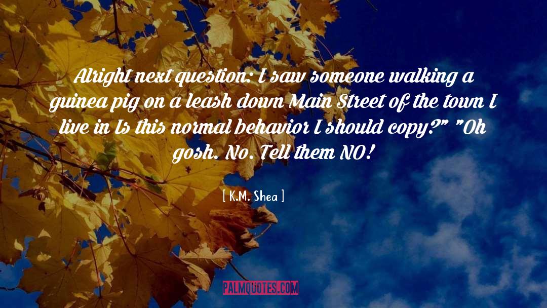 Main Street quotes by K.M. Shea