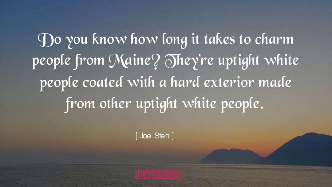 Maine quotes by Joel Stein