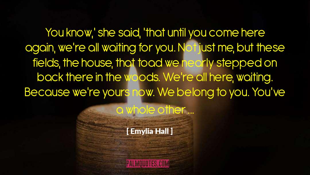 Maine Summer quotes by Emylia Hall