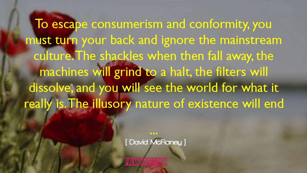 Mainstream Culture quotes by David McRaney