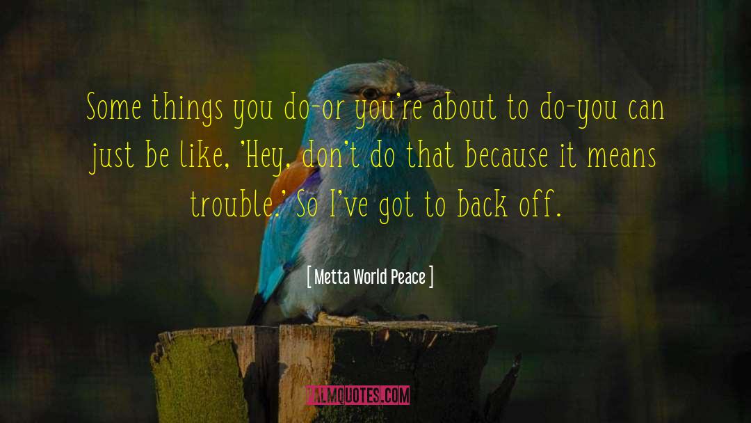 Maintaining Peace quotes by Metta World Peace