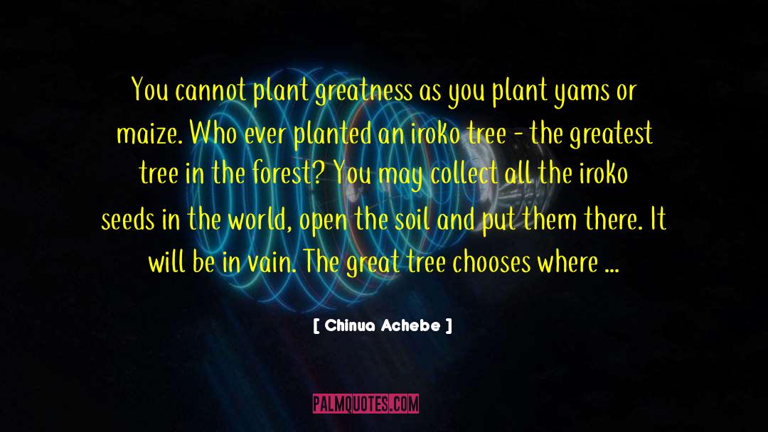 Maize quotes by Chinua Achebe