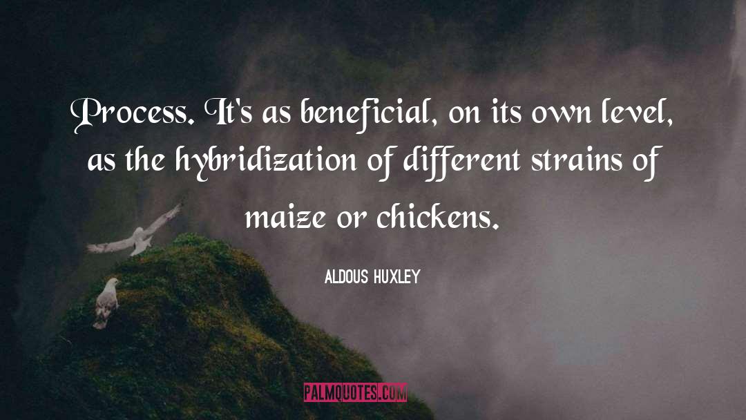 Maize quotes by Aldous Huxley