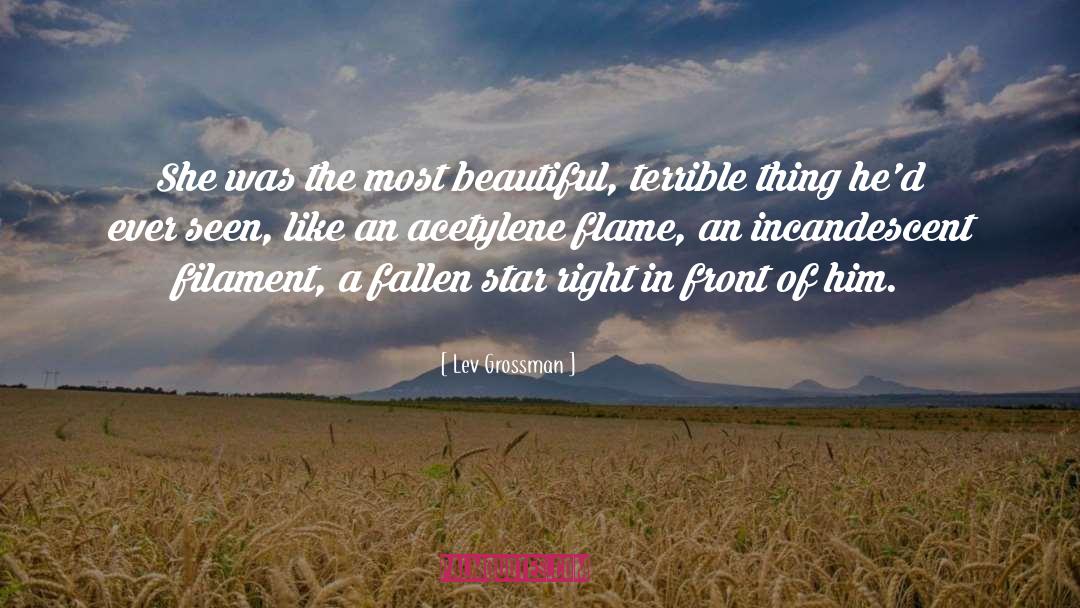 Majestic Beauty quotes by Lev Grossman