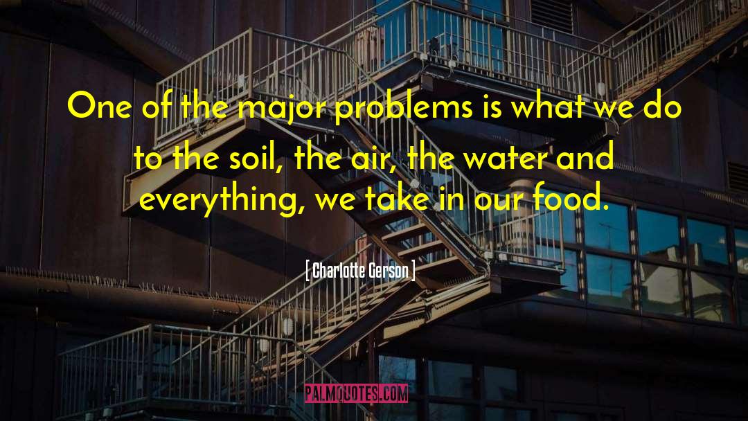 Major Problems quotes by Charlotte Gerson