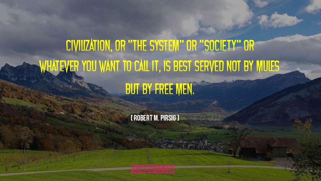 Majoritarian Electoral System quotes by Robert M. Pirsig