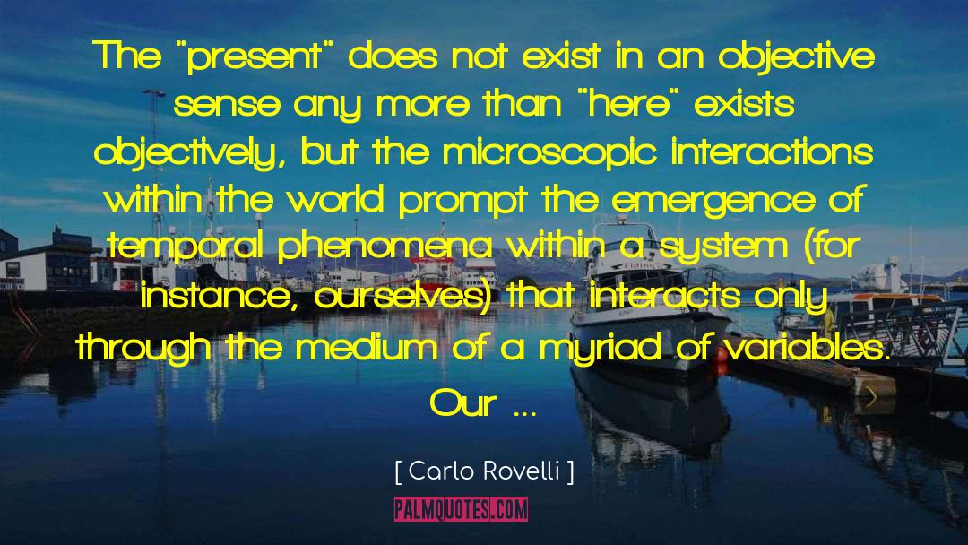 Majoritarian Electoral System quotes by Carlo Rovelli