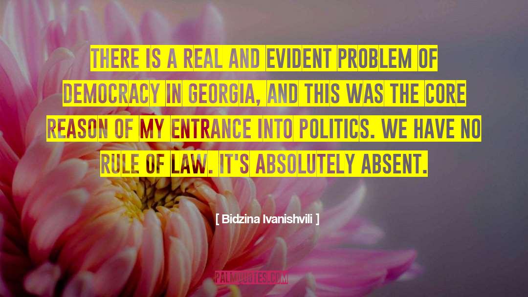 Majority Rule quotes by Bidzina Ivanishvili