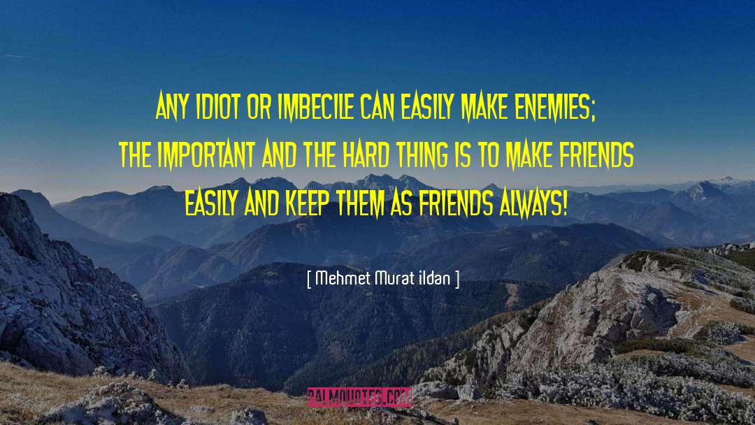 Make Enemies quotes by Mehmet Murat Ildan