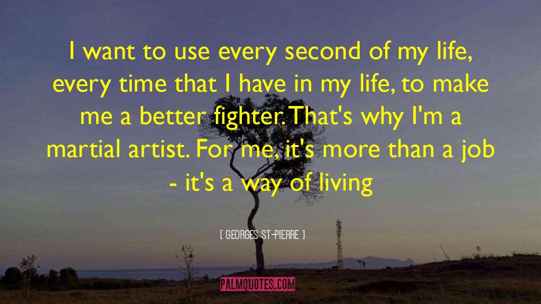 Make Every Second Count quotes by Georges St-Pierre