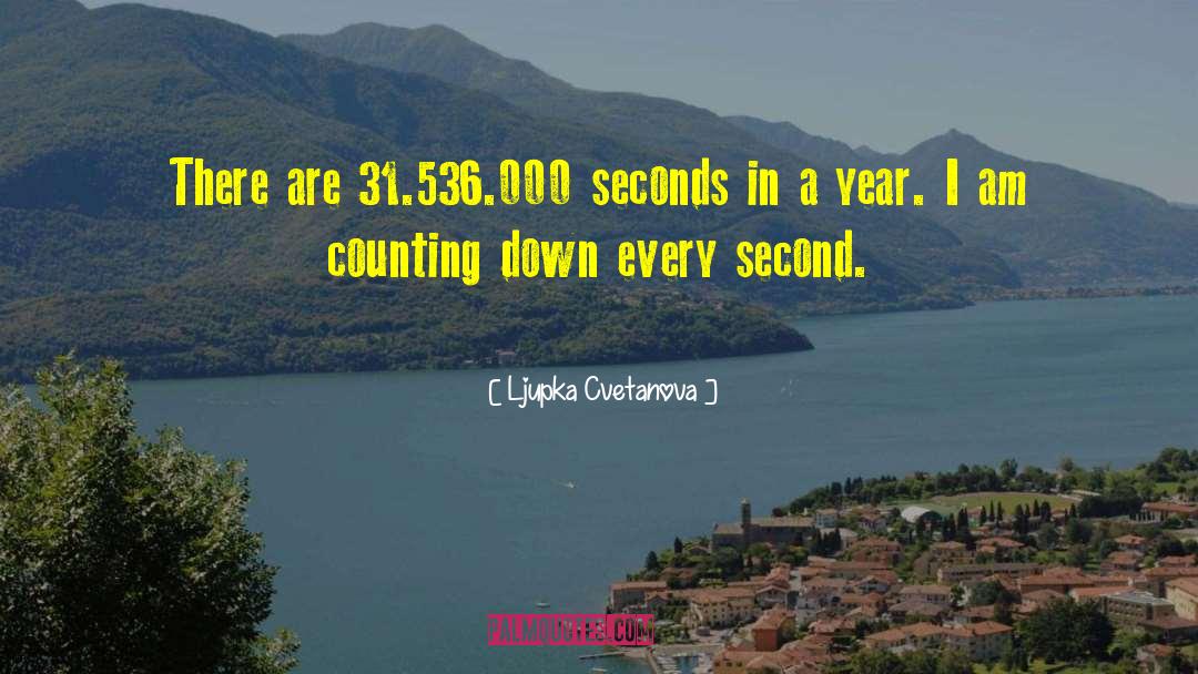 Make Every Second Count quotes by Ljupka Cvetanova