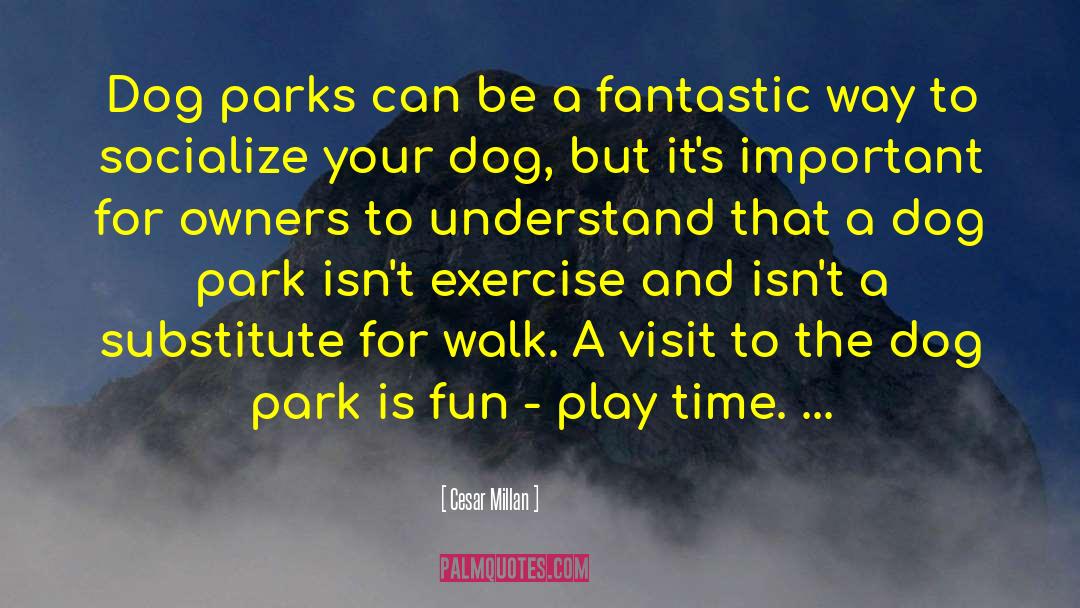 Make Exercise Fun quotes by Cesar Millan