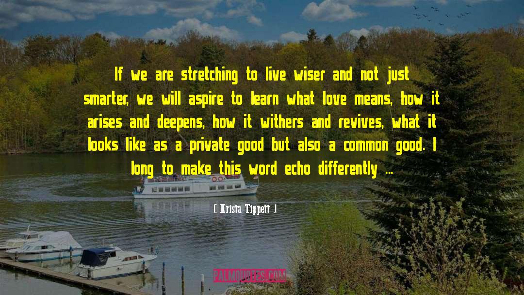 Make Good Sexual Choices quotes by Krista Tippett