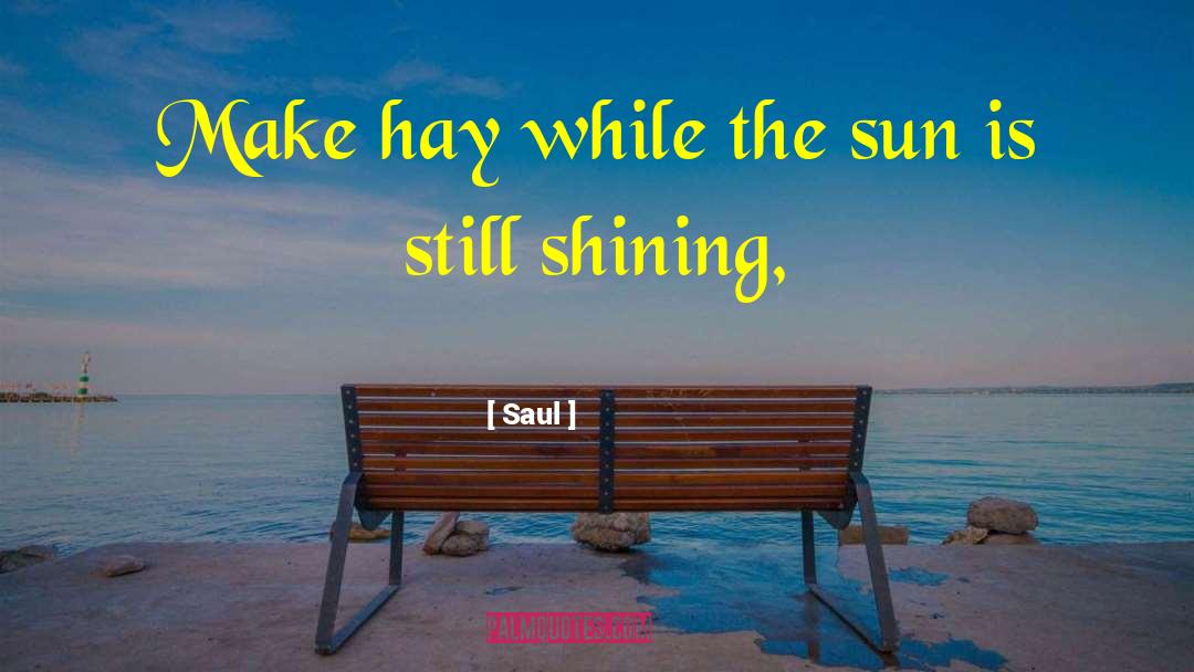 Make Hay quotes by Saul