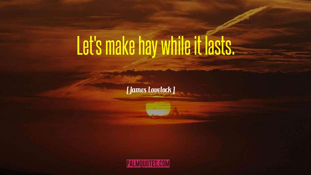 Make Hay quotes by James Lovelock