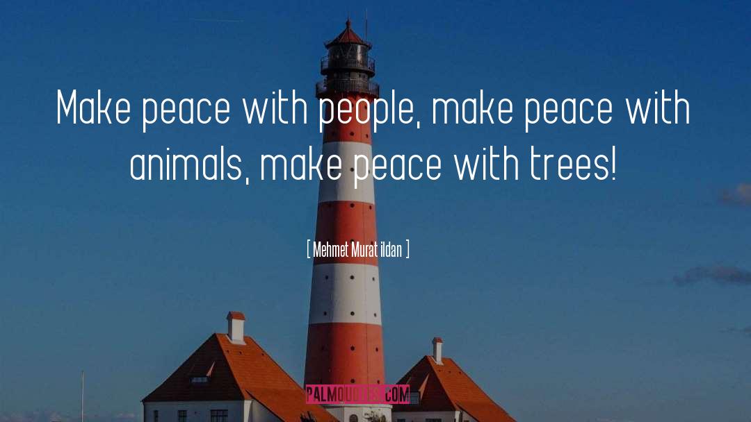 Make Peace With People quotes by Mehmet Murat Ildan
