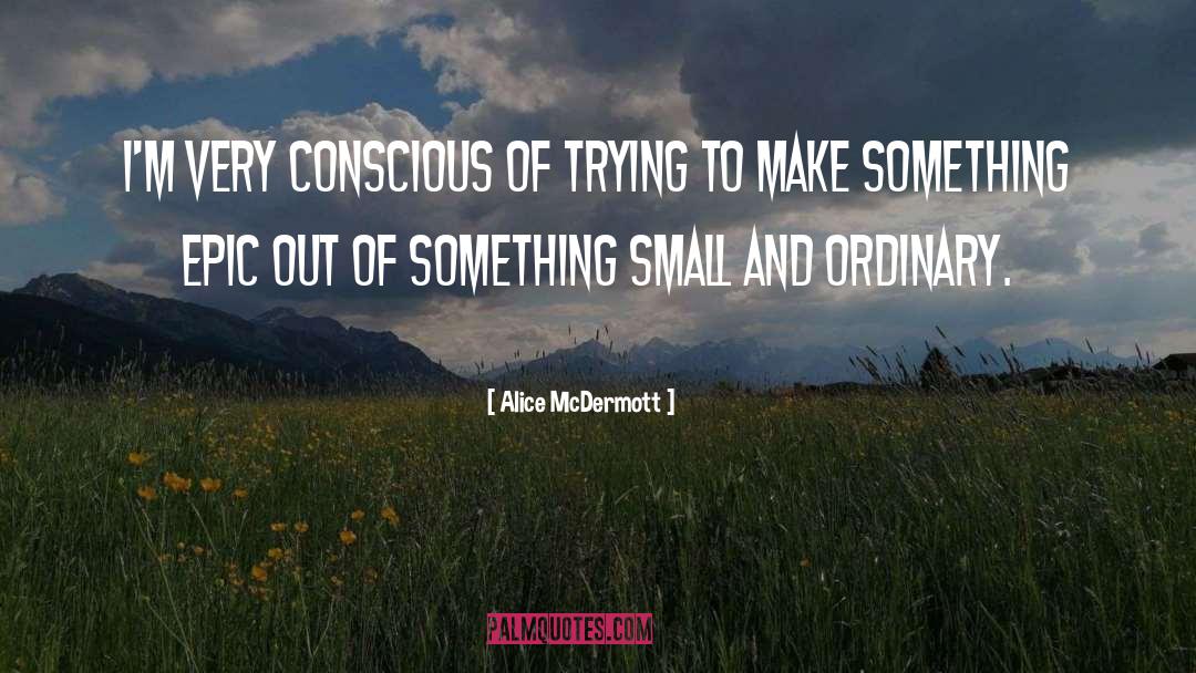 Make Something quotes by Alice McDermott