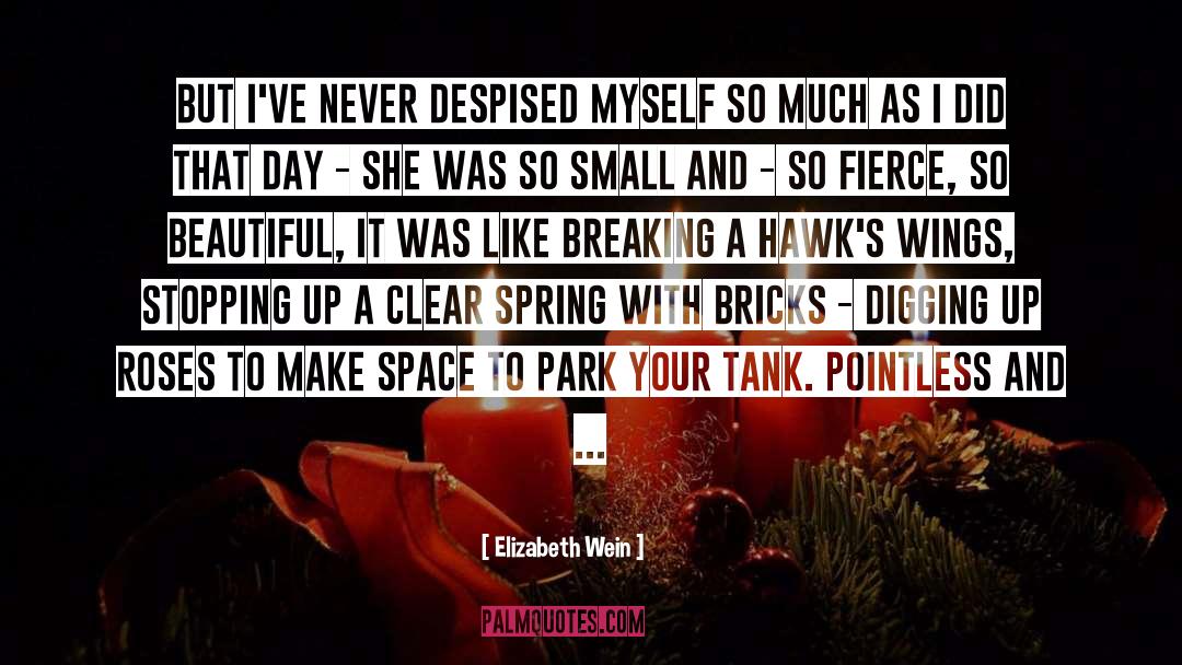 Make Space quotes by Elizabeth Wein