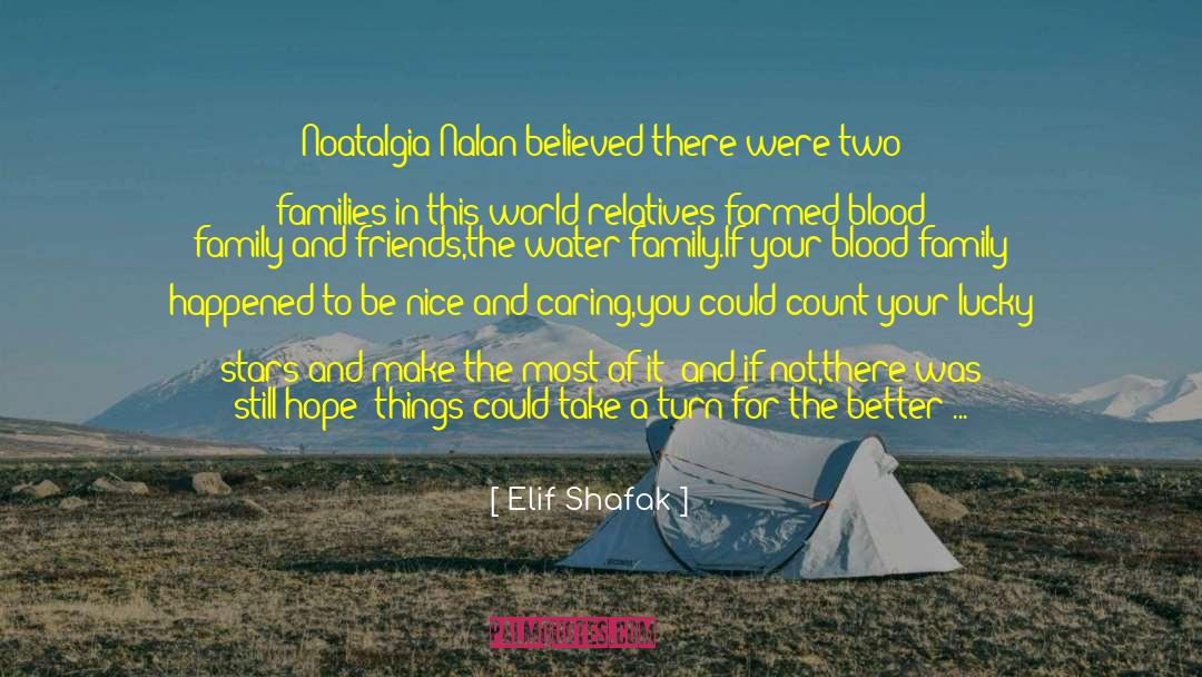 Make The Most Of It quotes by Elif Shafak
