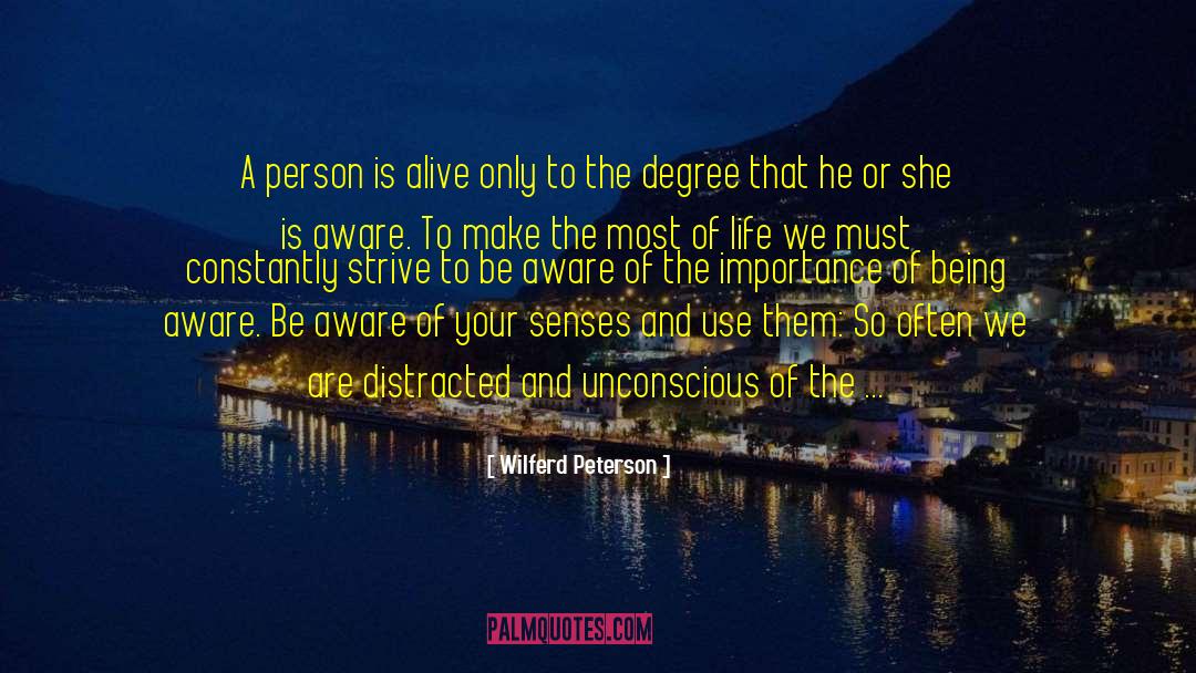 Make The Most quotes by Wilferd Peterson