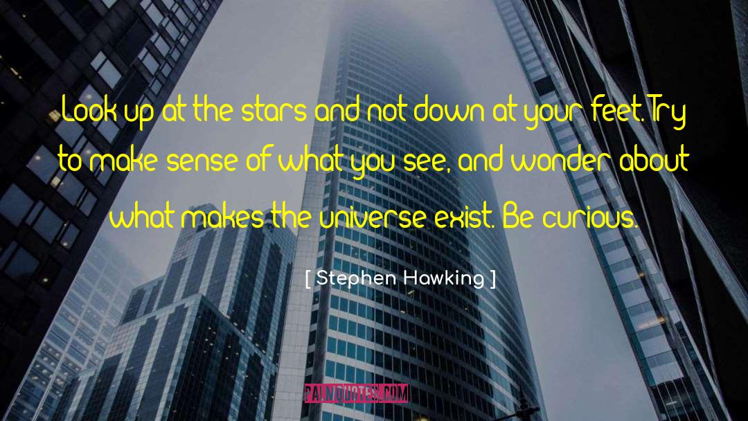 Make The Universe Joyful quotes by Stephen Hawking