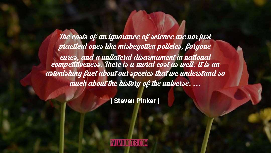 Make The Universe Joyful quotes by Steven Pinker