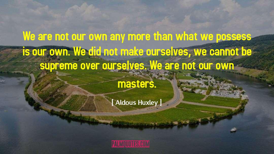 Make Waves quotes by Aldous Huxley