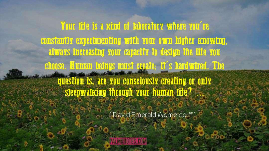 Make Your Own Life quotes by David Emerald Womeldorff