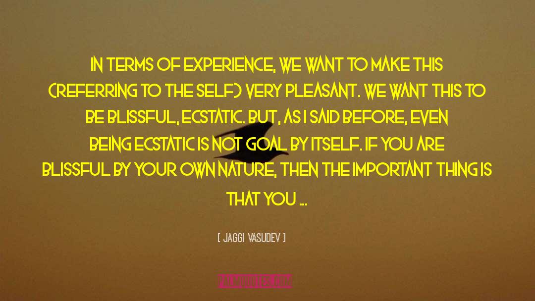 Make Your Own Life quotes by Jaggi Vasudev