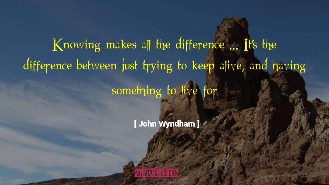 Makes All The Difference quotes by John Wyndham