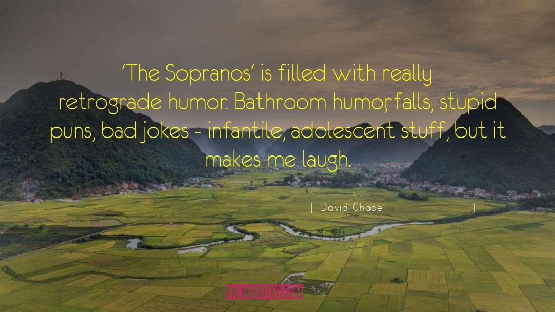 Makes Me Laugh quotes by David Chase