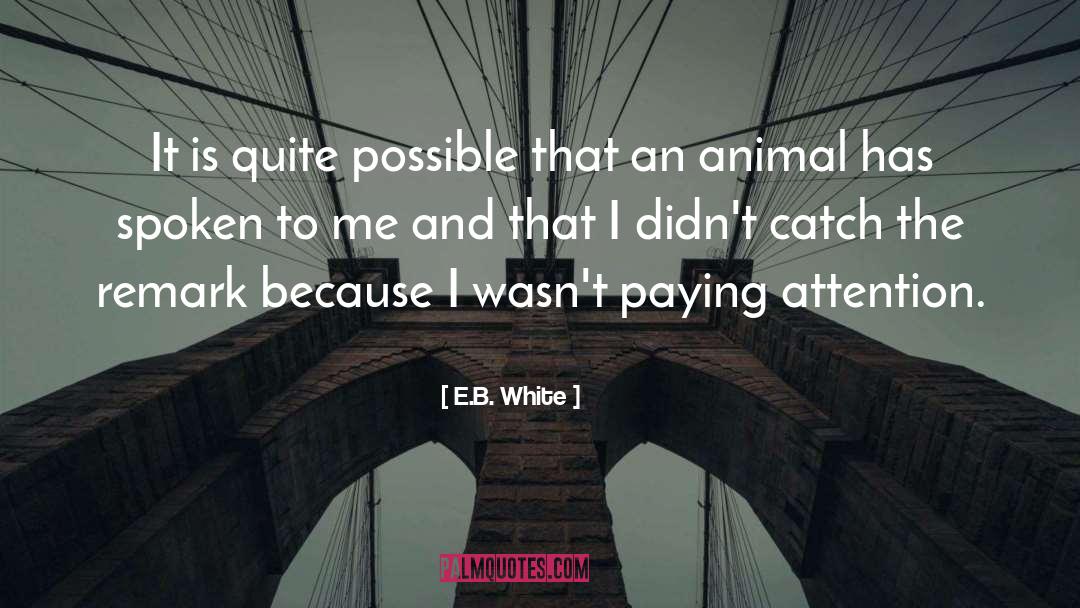 Makie It Possible quotes by E.B. White