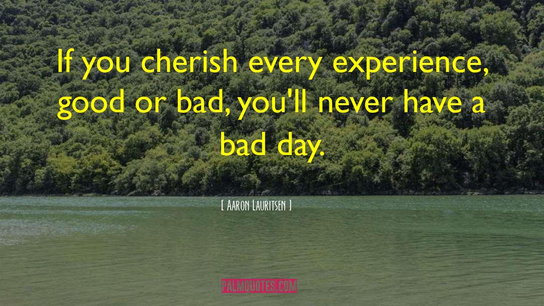 Making A Bad Day Good quotes by Aaron Lauritsen
