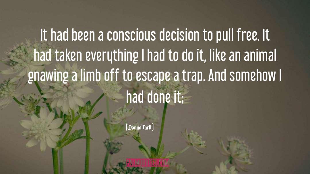 Making A Conscious Decision quotes by Donna Tartt