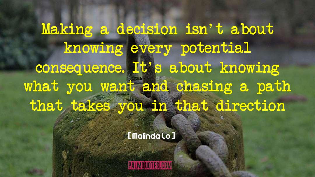 Making A Decision quotes by Malinda Lo