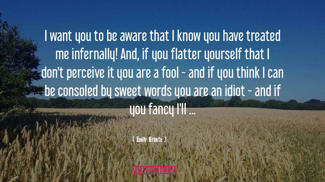 Making A Fool Of Yourself quotes by Emily Bronte