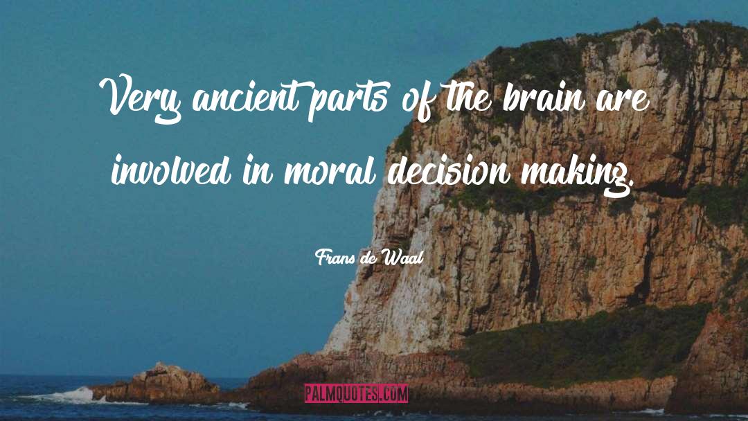 Making Decision quotes by Frans De Waal