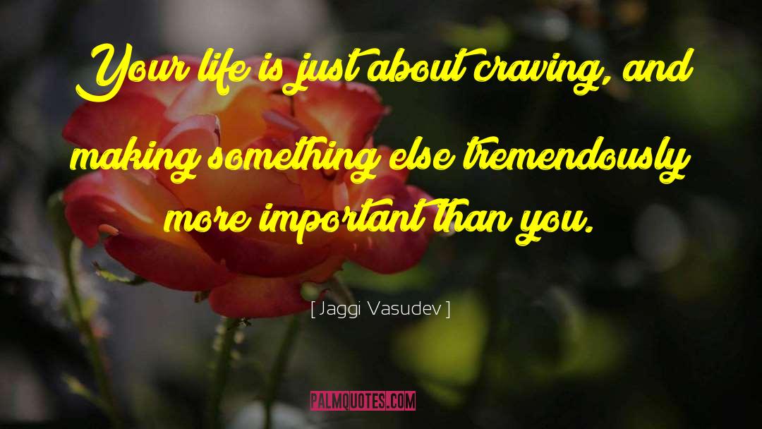 Making Important Life Decisions quotes by Jaggi Vasudev