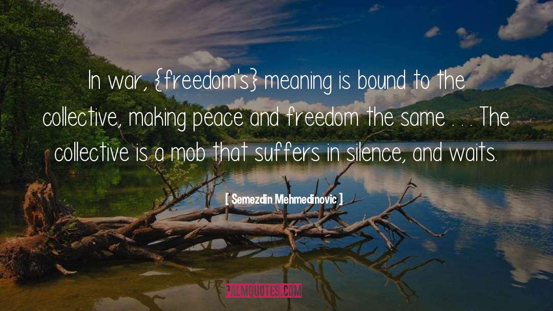 Making Peace quotes by Semezdin Mehmedinovic